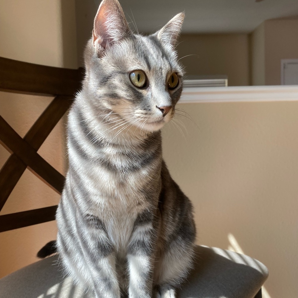 Meet your Posher, Dylan